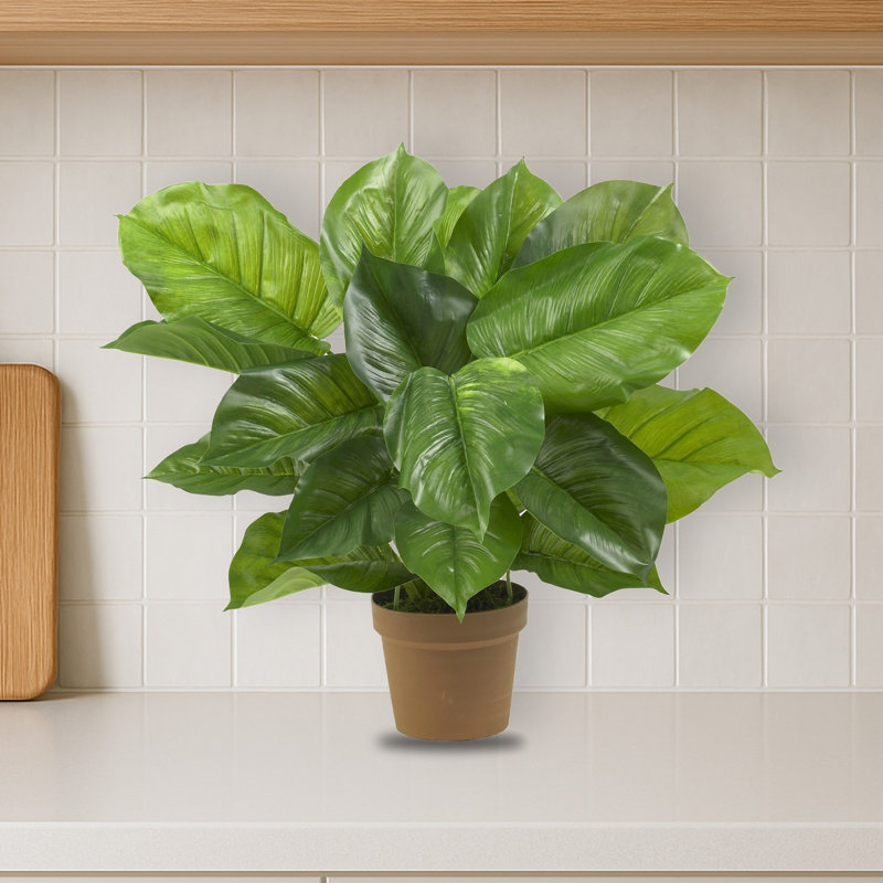 Large Leaf Philodendron Silk Plant