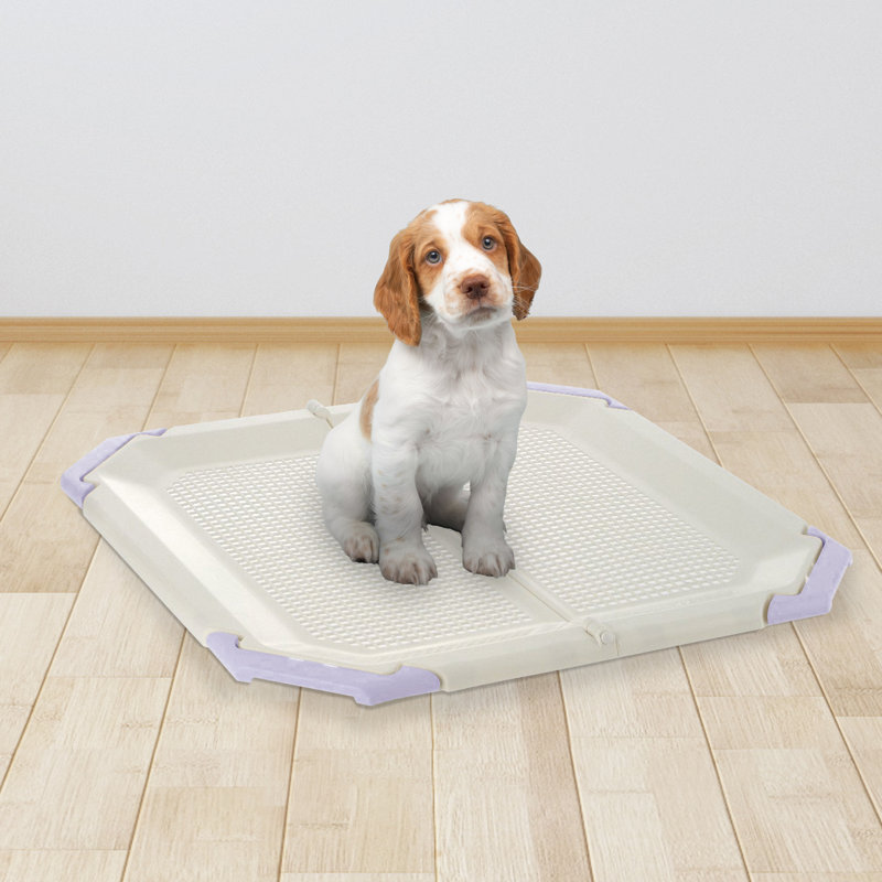 Porte-coussin en filet Paw Trex, Beige / Mauve