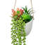 Arrangement de plantes grasses artificielles murales