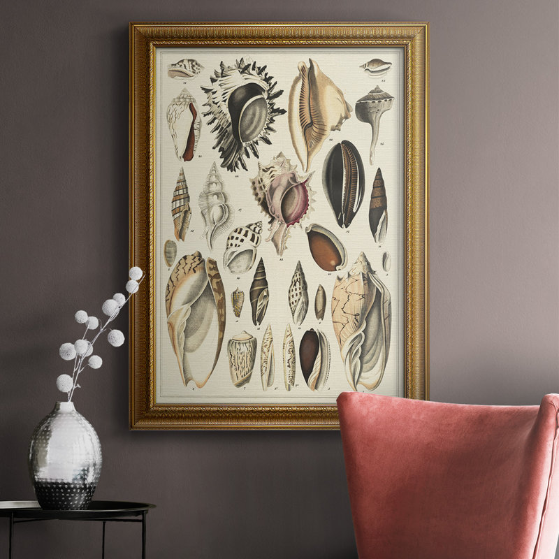 Seashell présent sur toile de qualité supérieure - prêt à être accroché, H 36 po x l 24 po x P 2,5 po