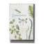 «My Greenhouse Botanical Dragonfly» par Lisa Audit, art mural sur toile-1652586874