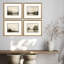 Muted Horizons Framed Art