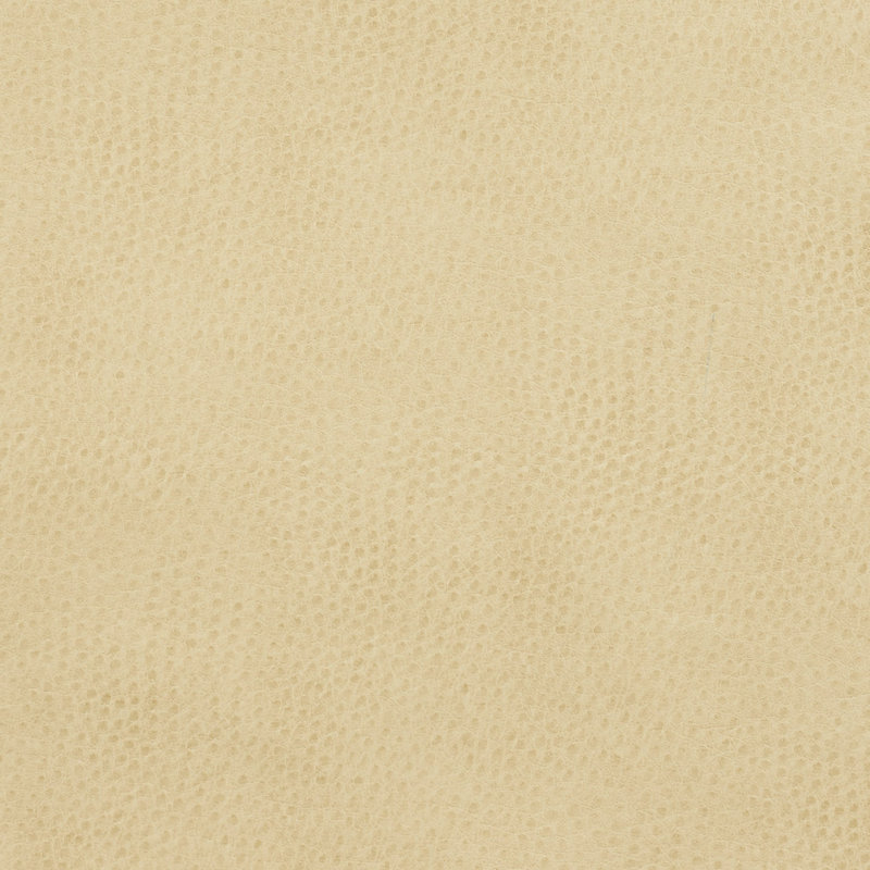 Fabric, Ivory