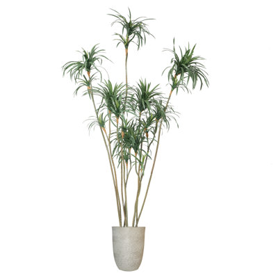 Dragon artificiel 106 po en pot