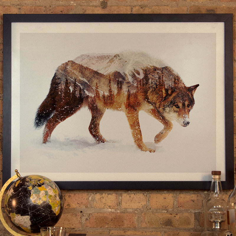 « arctique loup », impression, H 16 po x l 24 po x P 1 po, Papier encadré noir
