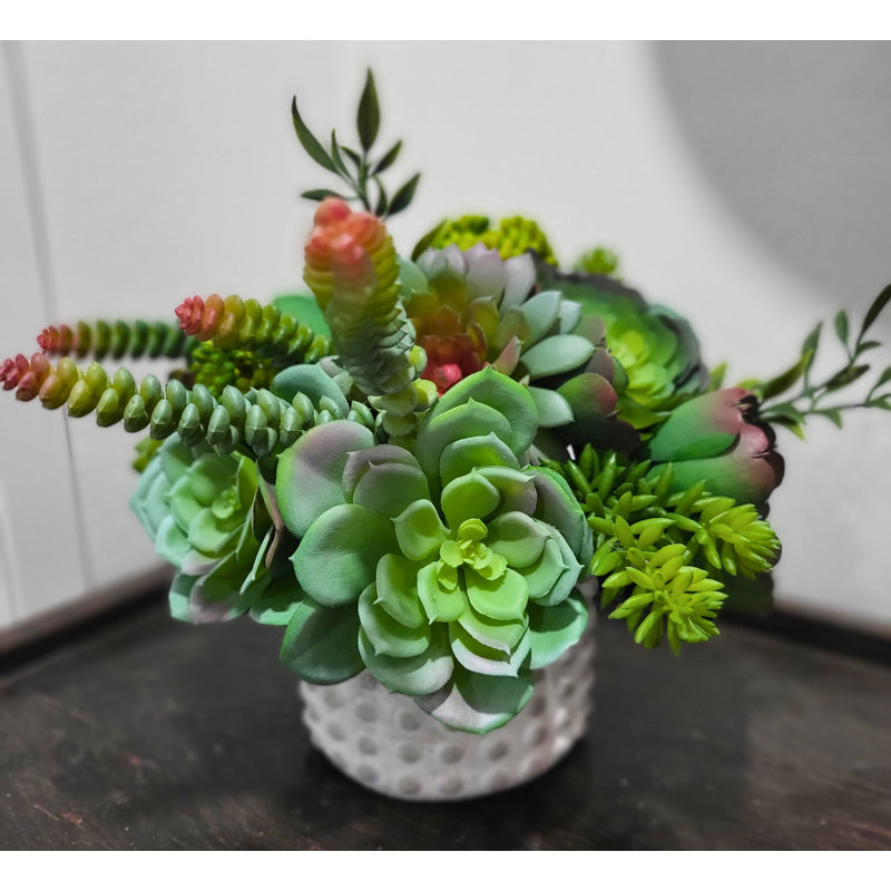 Succulent Arrangement in Pot