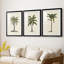 3 pièces de l'UA CH - British Palms I-1939223522-1939223524