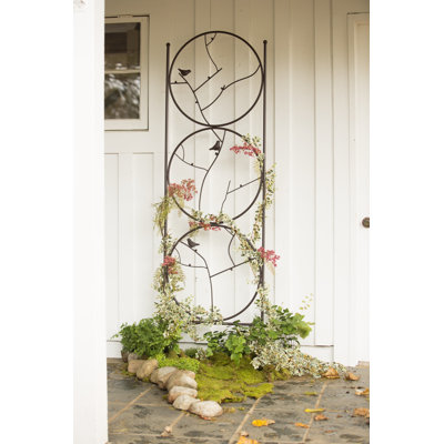 79.5'' H x 24'' W Iron Gothic Trellis