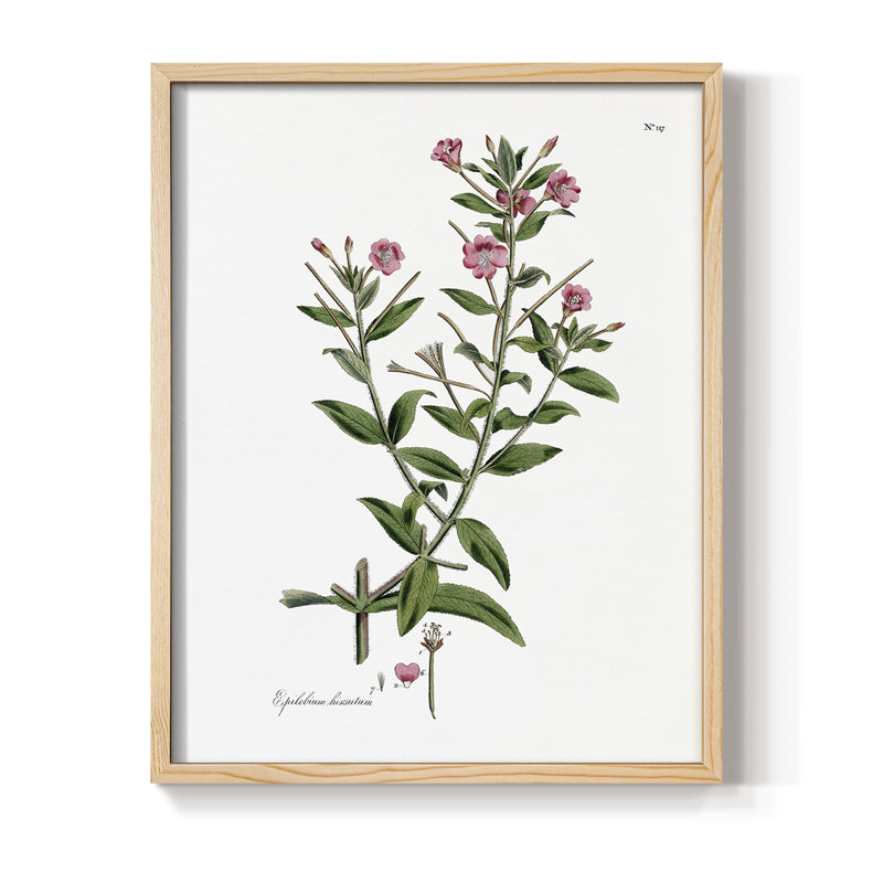 Rose Botanical III Framed Print - Solid Wood, 21" H x 17" W