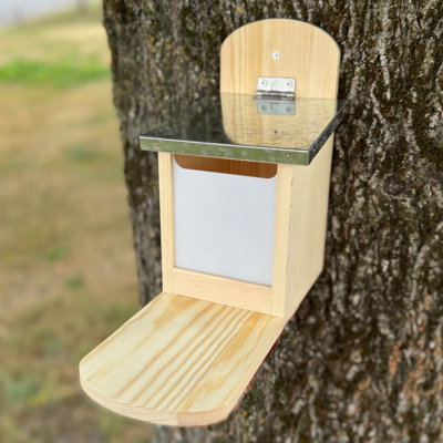 Wall Squirrel Feeder