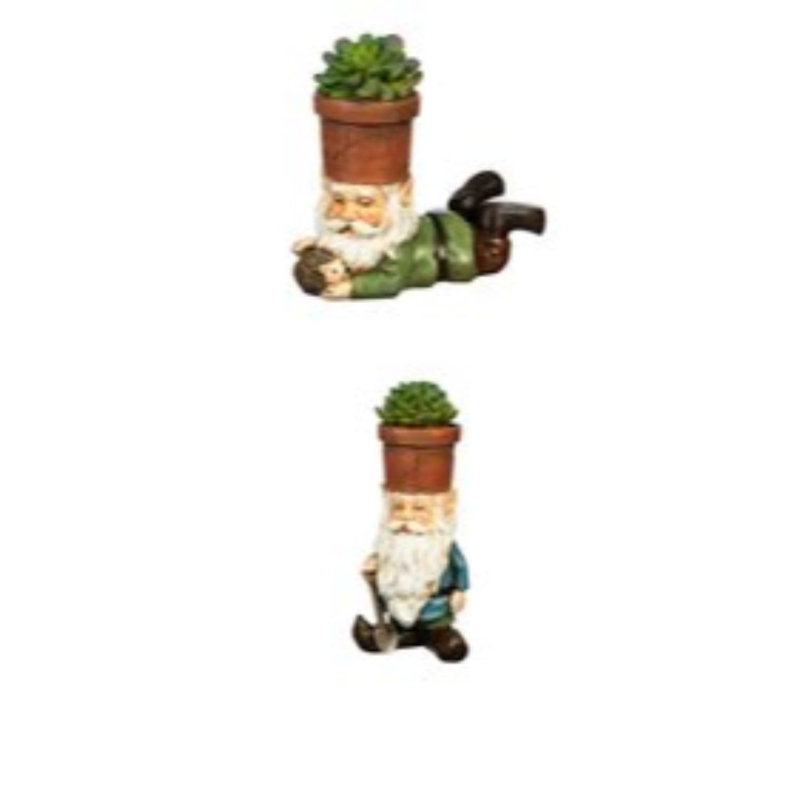Ensemble de statue 2 pièces gnome succulent Don