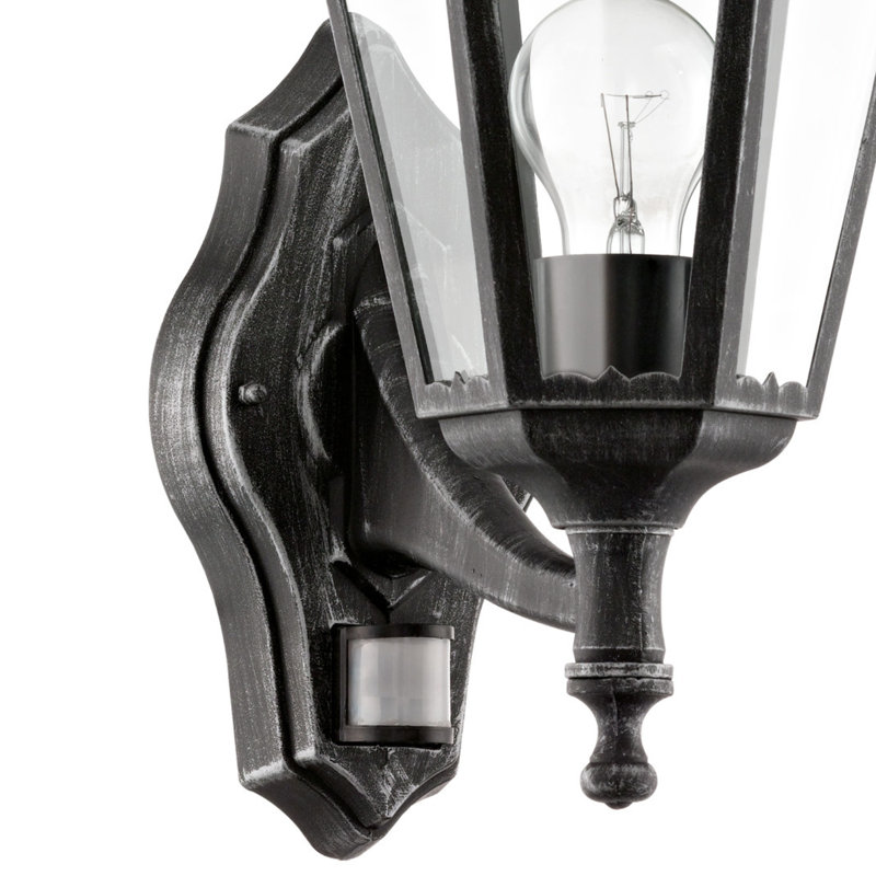 Deonte Outdoor Wall Lantern, Black / Patina Silver