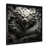 Black Single Picture Framed