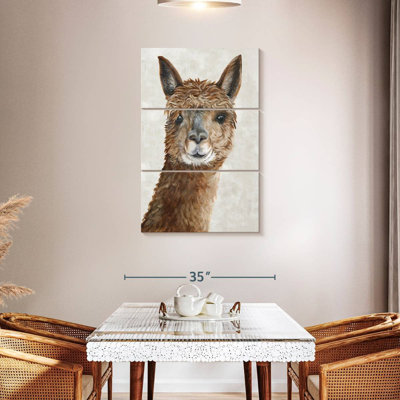 Brampt Suri Alpaca II