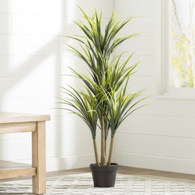 Boulanger 40" Artificial Green Yucca