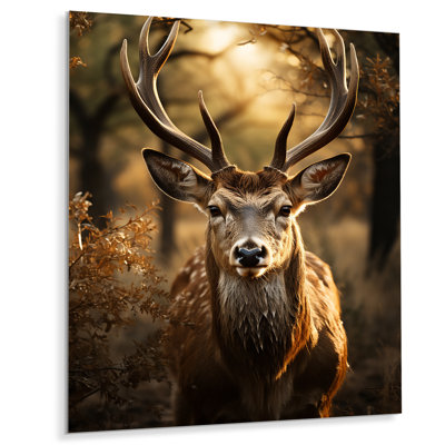" Brown Deer Portrait Vibrant I "
