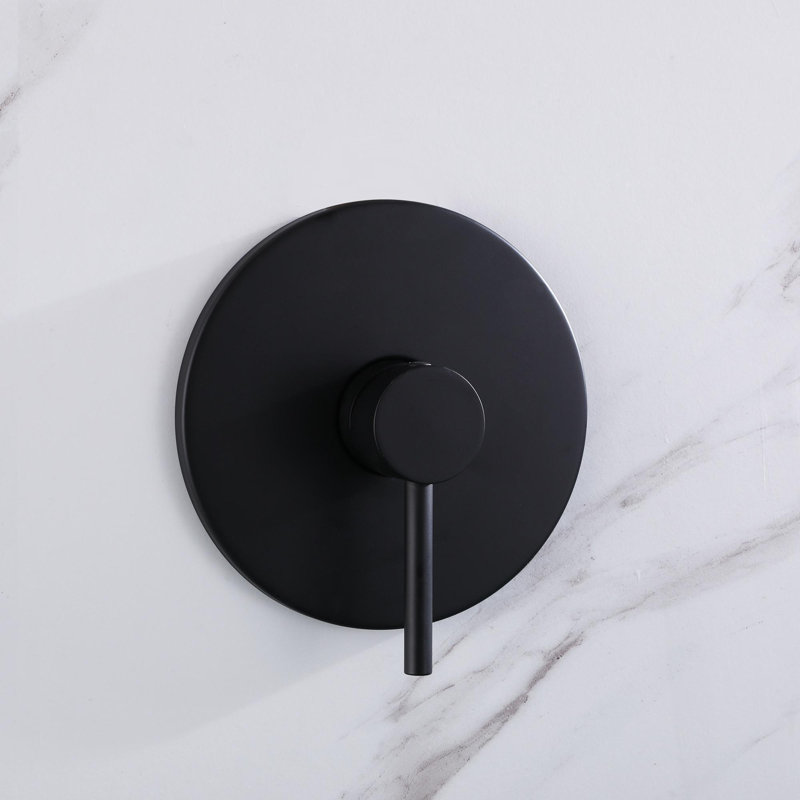 Ensemble de robinet de douche à fonction unique 10 po avec garniture de douche