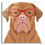 Art mural en verre Epic Art «Dogue De Bordeaux portant des lunettes de hipster»-1576500170