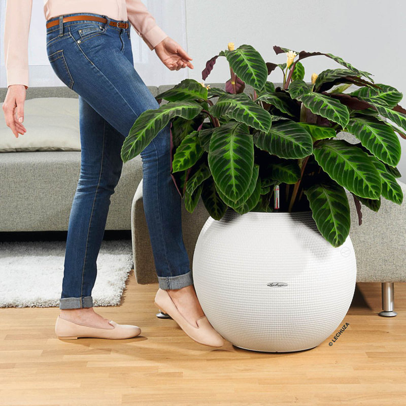 Pot Planter, 50.5 cm H x 50 cm W x 50 cm D, White