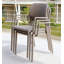 Suri Stackable Outdoor Patio Dining Armchair with Cushion