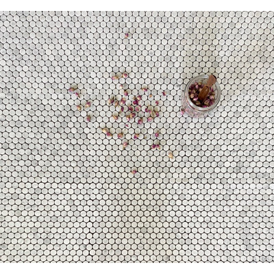 Arabescato Marble Penny Round Mosaic Wall Tile