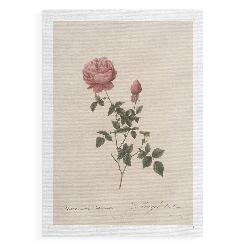 Imprimé floral rétro CXL III - reproduction de toile seulement - non encadrée, H 48 po x l 32 po