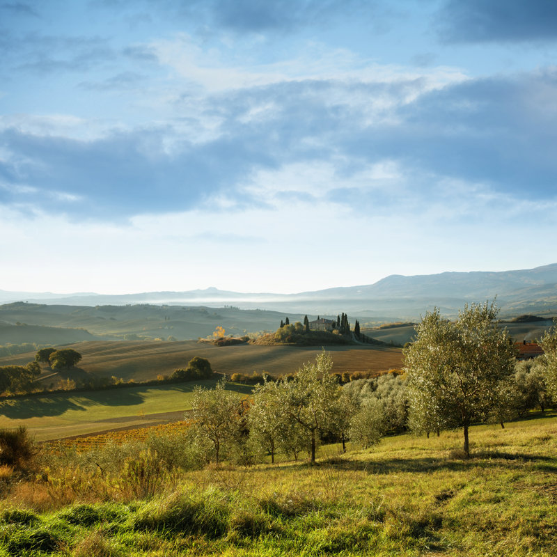 Tuscany by Mammuth - Wrapped Canvas Print, 30cm H x 30cm W