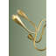 Lustre Anaise-123139845-122611171