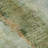 Premium Machine Washable Cerrito AMF605 Green Rug-105156271