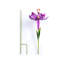 Piquet de jardin 39 po Beaslie-831569190