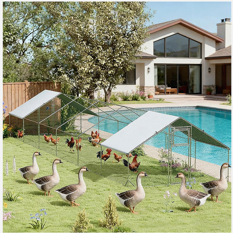 Grande maison pour animaux de compagnie, poulailler, poulailler extérieur, maison pour canards