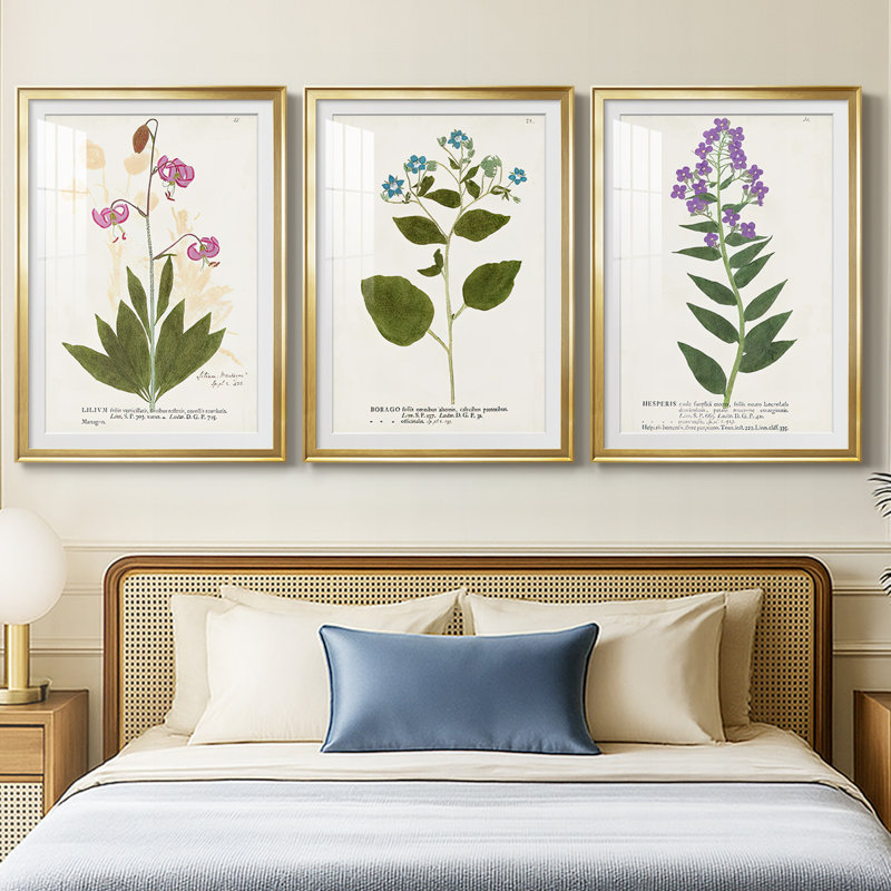Nature Printed Botanicals V - reproduction sur mesure encadrée de qualité supérieure - 3 pièces, H 19 po x l 27 po, Doré