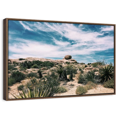 Cactus Desert