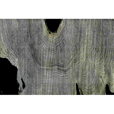 Gris fantôme II