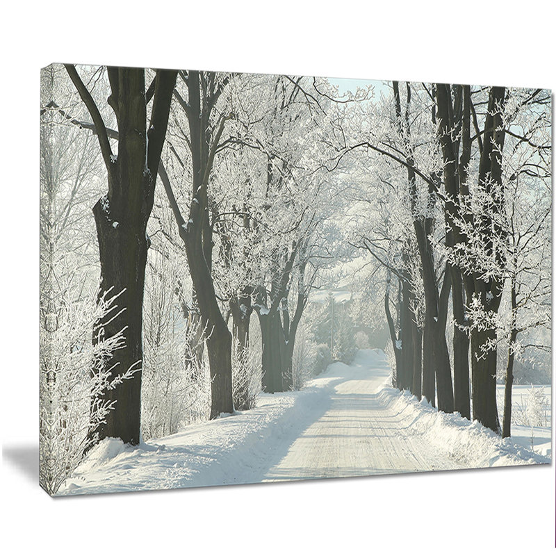 «Country Road Entre Foggy Trees», photographie, H 20 po x l 20 po x P 1 po, Toile tendue