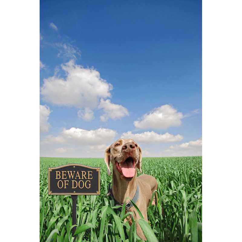 Beware of Dog Garden Sign, Black/Gold