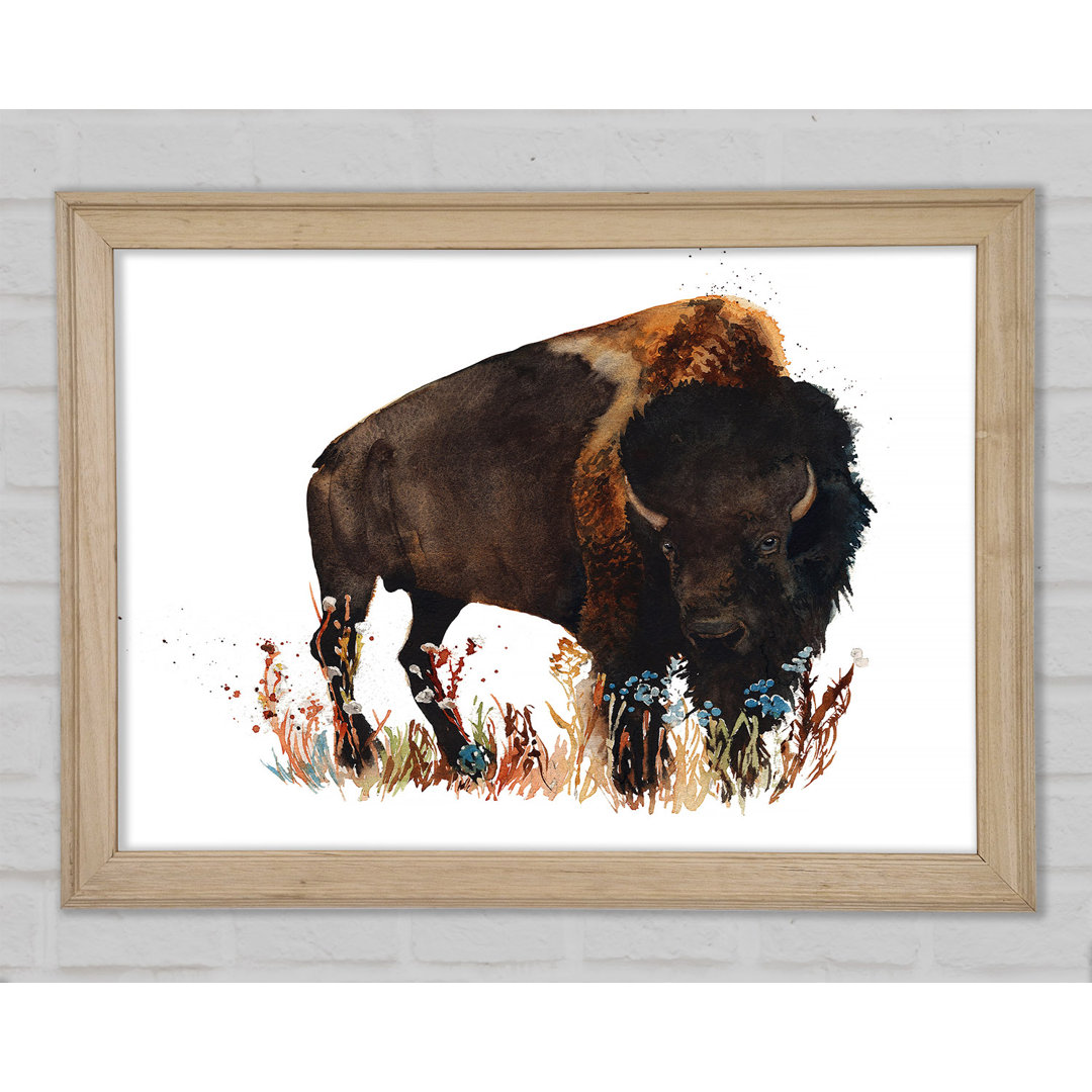 Bison Love - Einzelner Bilderrahmen Kunstdrucke