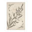 Tapis lavande lavable à la machine à motif d'herbes lavande style campagne française beige - Reliure beige-453999538