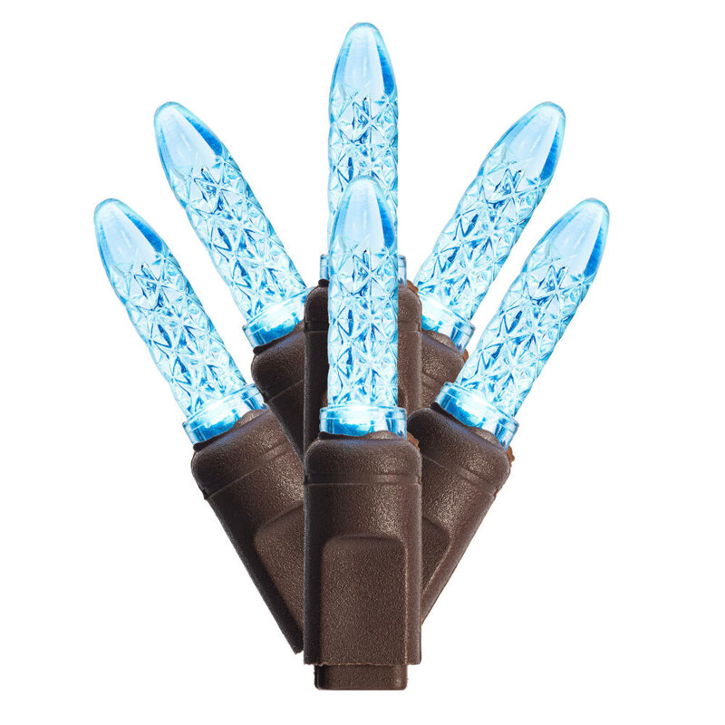 Ebern Designs 70 Teal M5 Faceted LED Light on Brown Wire, 4" Spacing x 24' Long Christmas Light Strand