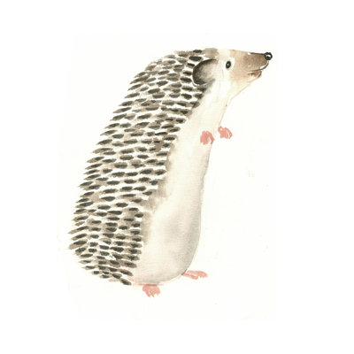 Watercolor Hedgehog 4 - peinture sur toile tendue