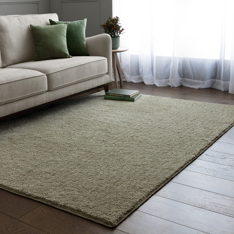 Ronalee Recycled P.E.T Machine Tufted Shag Area Rug, Green, Rectangle 140 x 200 cm