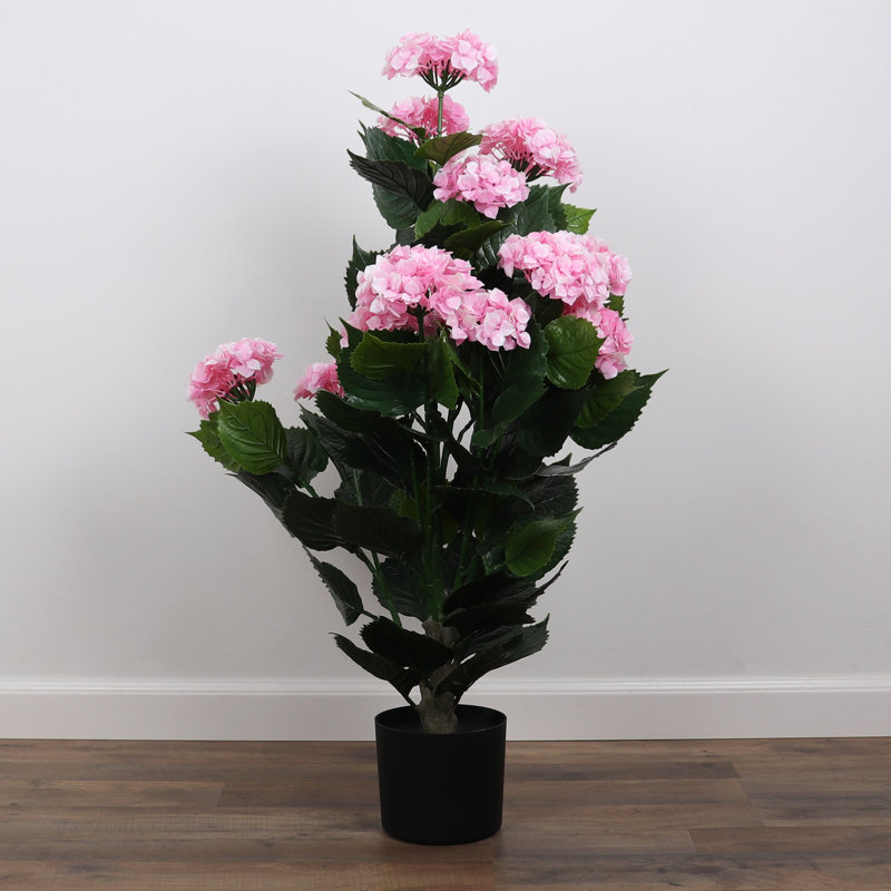 Potted Hydrangea - Small, Pink