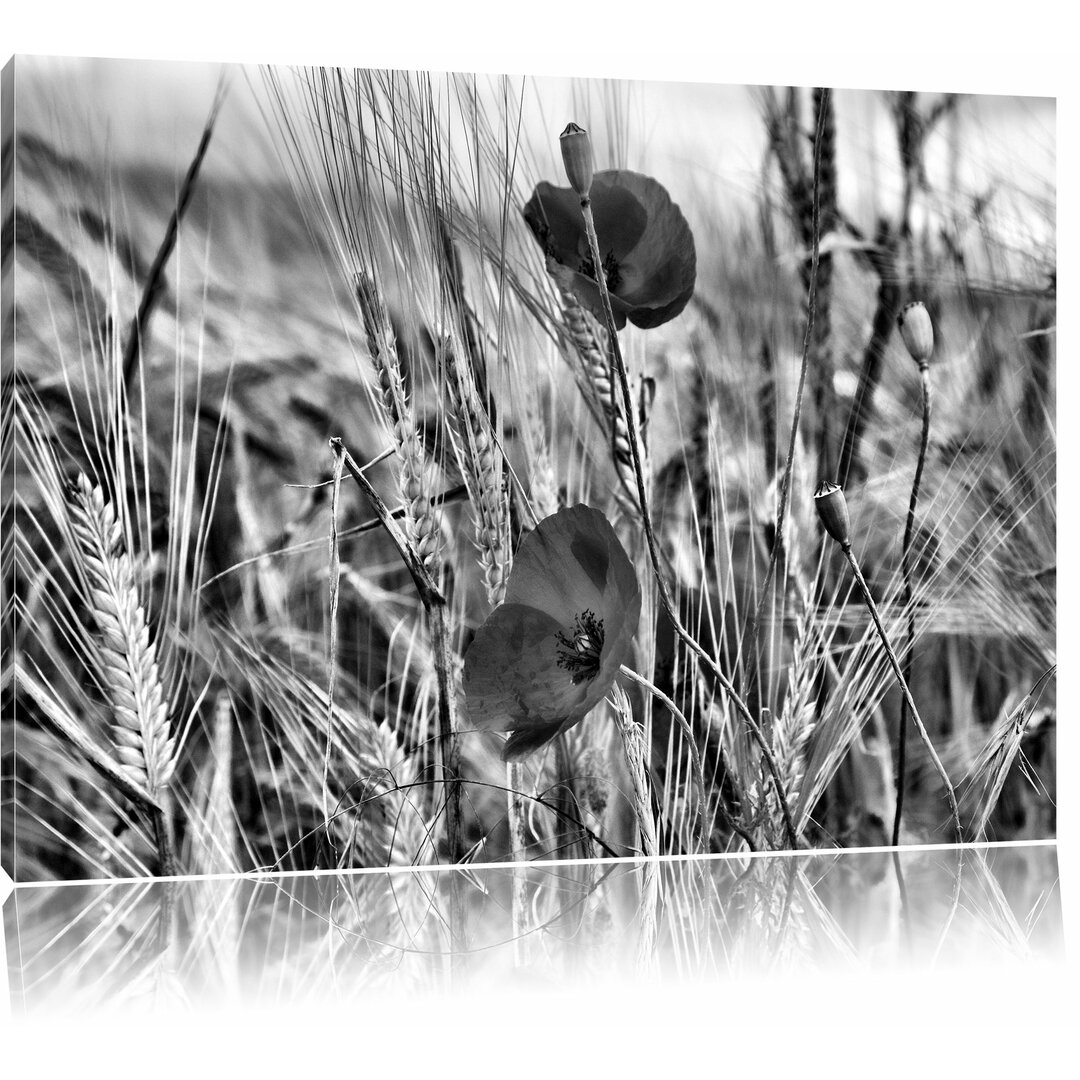 Leinwandbild Mohnblumen im Getreidefeld in Monochrom