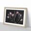 Tulip Flowers in Purple - Picture Frame Painting Print-55615102-55615106