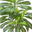 Dracaena artificiel Kren, pot à fleurs blanc, soie soyeuse réaliste 60 pouces-132797860-132797862