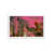 Rose pop sélectionné