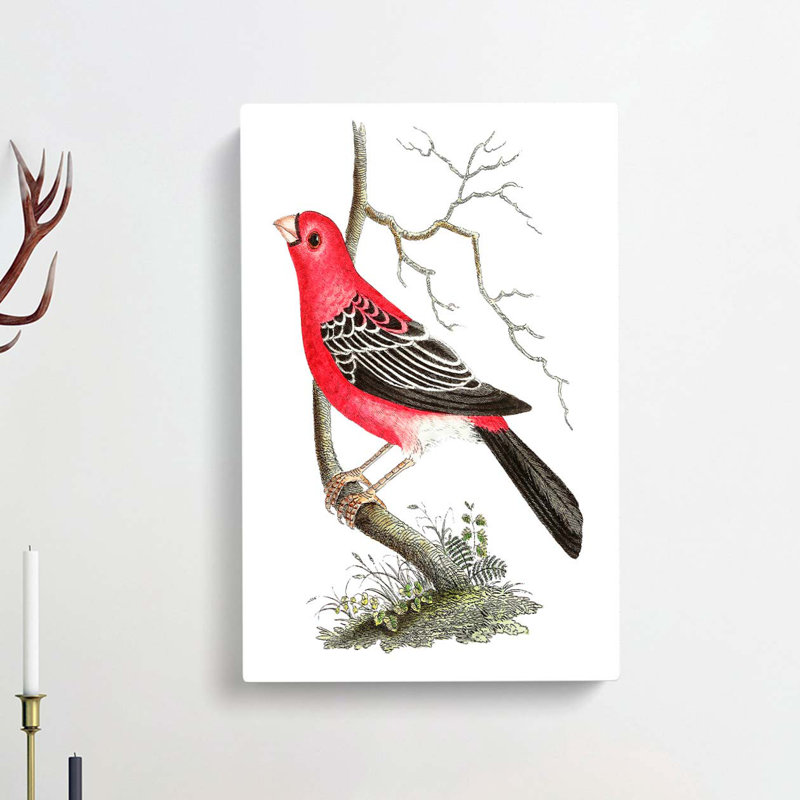 Greater Bulfinch Bird by George Shaw - Wrapped Canvas, 50cm H x 35cm W x 3cm D