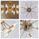 Oaks Olamide 23" Ceiling Fan with Lights Remote 6-Speed Light Fixture