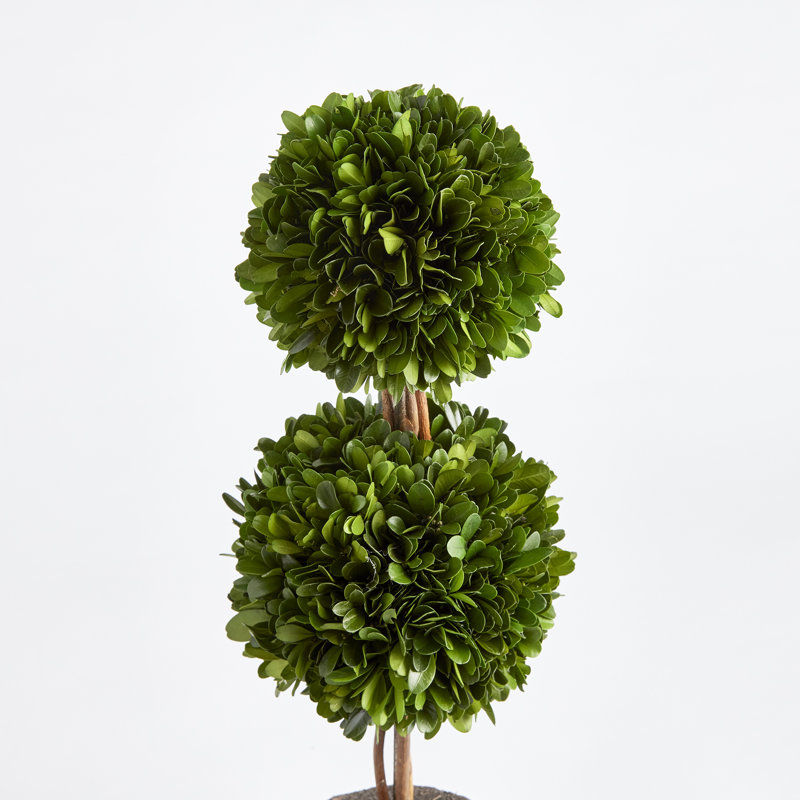 Centre de table en pot Alby
