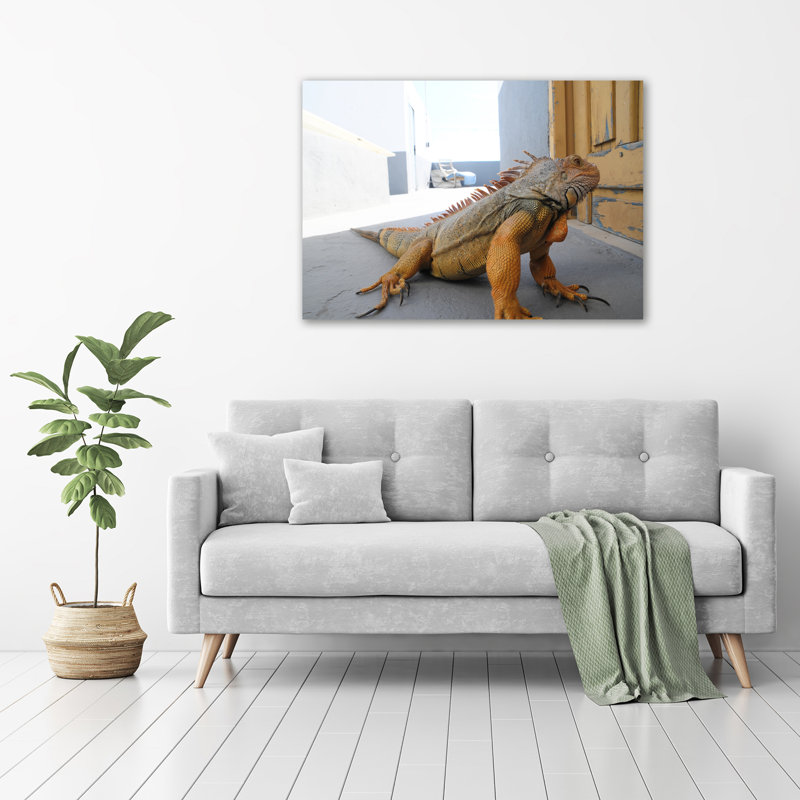 Iguana - Wrapped Canvas Print